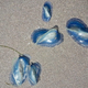 Illustration for article titled The Strangest Things That Have Ever Washed Up On Beaches